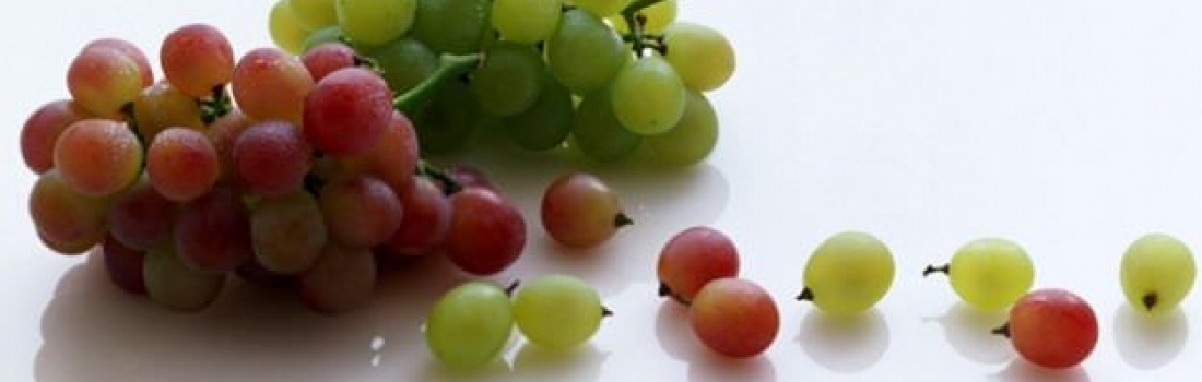 Dieta de la uva